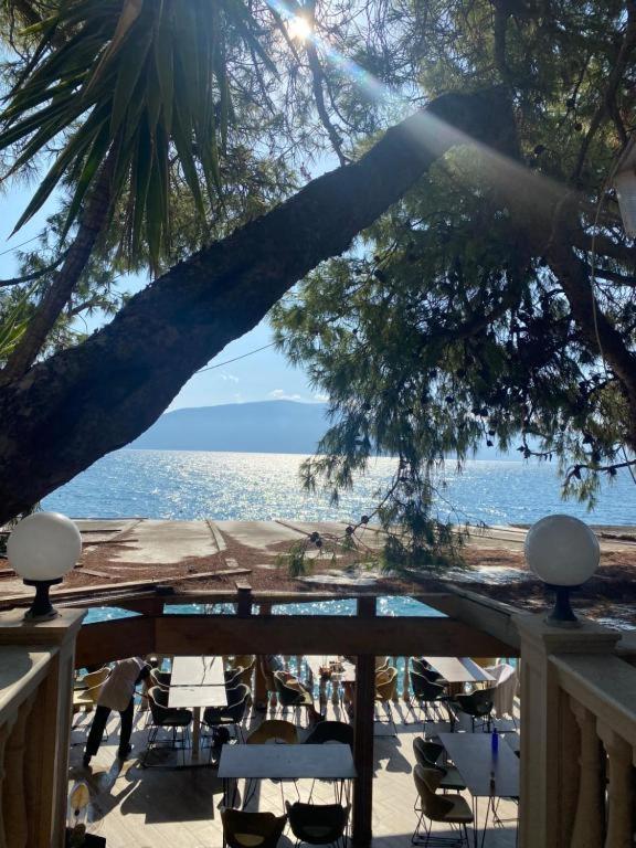 Arlind'S Apartaments Vlorë Eksteriør billede
